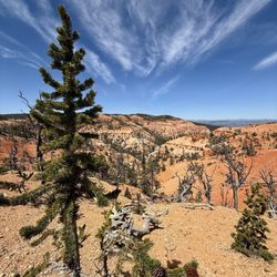 Bryce Wildlife Outfitters ATV Rentals