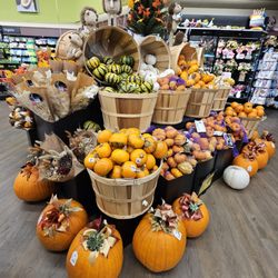 Safeway - 9/21/2024 - Halloween is coming & they do have a lot of great décor & floral options!