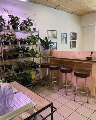 Café Jardin by null