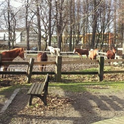 Freizeitpark Niederheider Wäldchen
