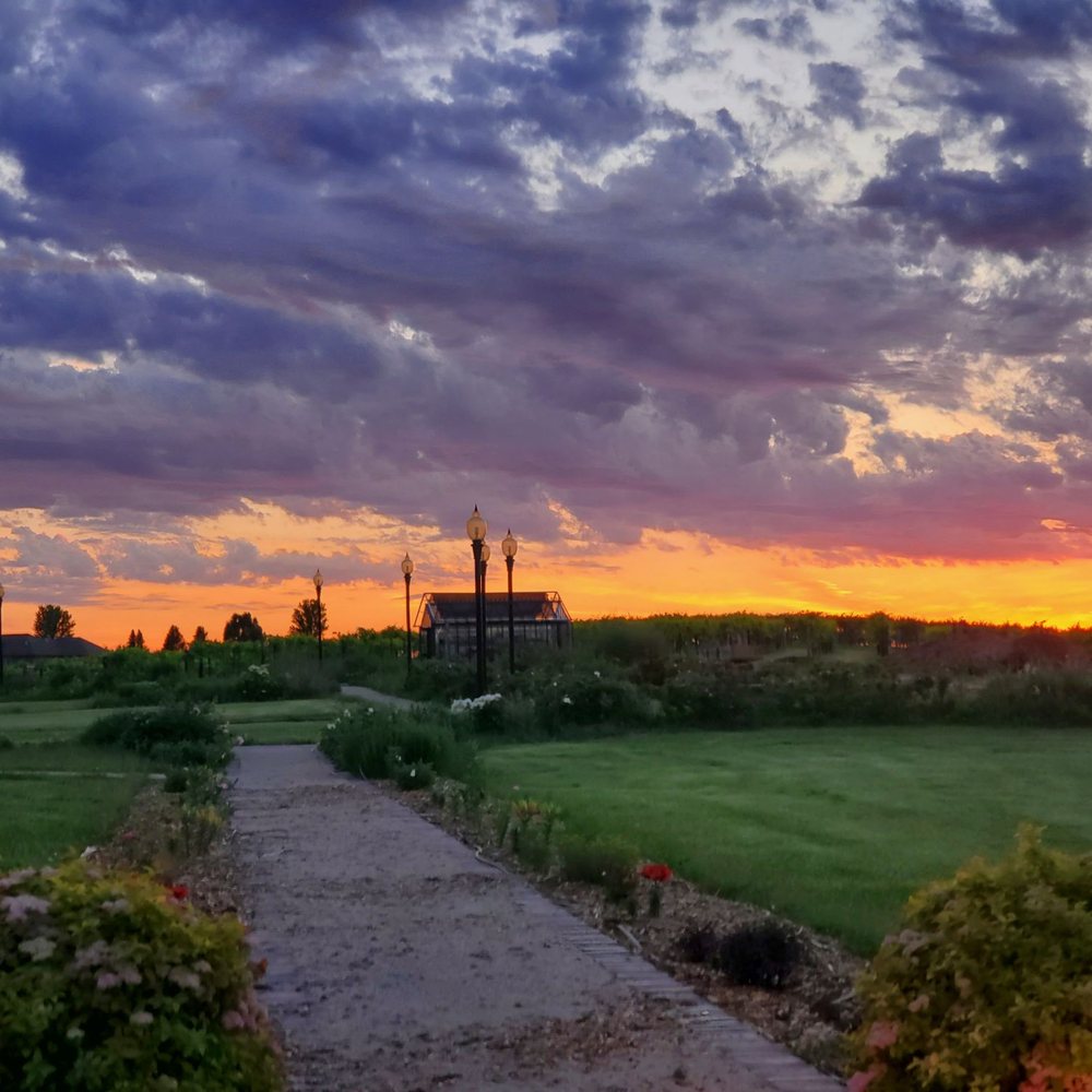 Buchanan House Winery - Wineries Near Me - Tipton, Iowa