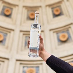 Noble Cut Distillery - O-H...I-O