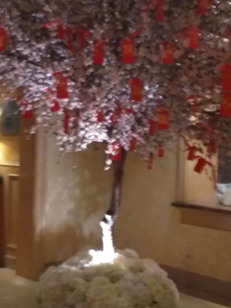 FAMOUS FLORIST 12 Photos & 12 Reviews 251 Park Ave, New York, New