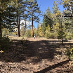 Amazing! beware of bears tho. locals say they feel here right at home around the year. oct 2026
