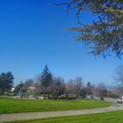 San Felipe Community Center - Hayward Area Rec. & Park District - Really nice park near my house