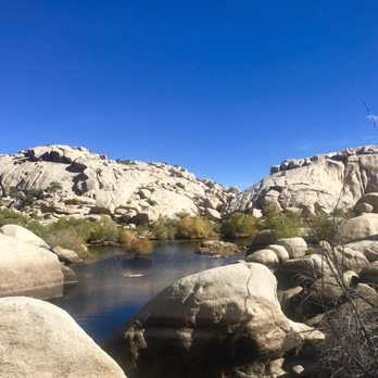 Barker Dam Trail - Hiking Near Me - Joshua Tree, California