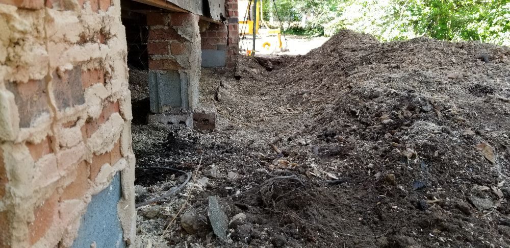 Simple Stump - tree service in Charlotte, NC