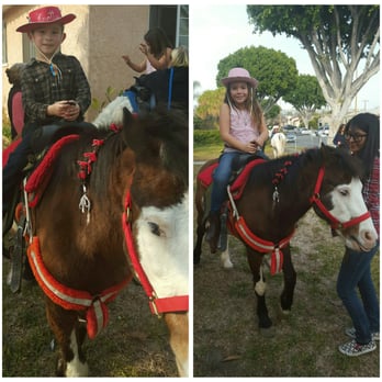 Ponies For Parties - Party Supplies Near Me