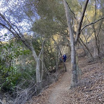 Marian Bear Memorial Park - Hiking Near Me - San Diego, California Marian Bear Memorial Park - Hiking Near Me - San Diego, California