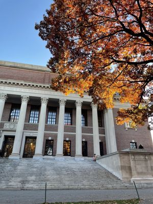 Harvard University by null