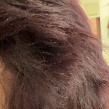 Hairdoctors Specialty Salons - Eureka - Does this cut look fine to you?? - Hair Extensions Near Me - Miami, Florida
