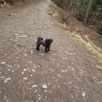 University Lake Dog Park - Dog Parks Near Me - Anchorage, Alaska University Lake Dog Park - Dog Parks Near Me - Anchorage, Alaska