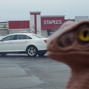 Staples - Bob the Raptor Says "Mammals come here to get office supplies." - Shipping Centers Near Me - Copley, Ohio Staples - Bob the Raptor Says "Mammals come here to get office supplies." - Shipping Centers Near Me - Copley, Ohio