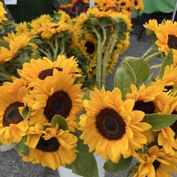 Burbank Farmers Market - Farmers Market Near Me - Burbank, California