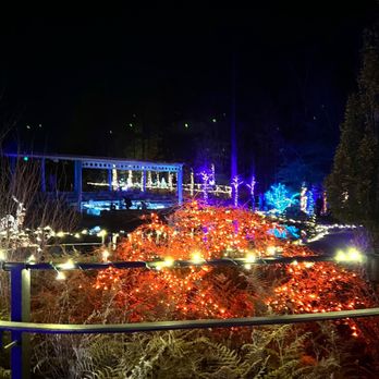Daniel Stowe Botanical Garden - Christmas lights - Botanical Gardens Near Me - Belmont, North Carolina Daniel Stowe Botanical Garden - Christmas lights - Botanical Gardens Near Me - Belmont, North Carolina