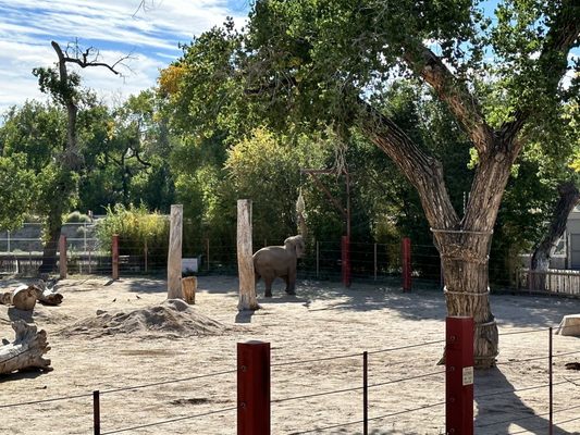 ABQ BioPark Zoo by null