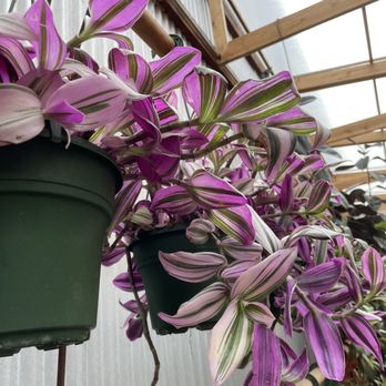 Flora Grubb Gardens - Nurseries & Gardening Near Me - San Francisco, California