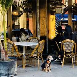 Ayat - Exterior. That dog is standing guard