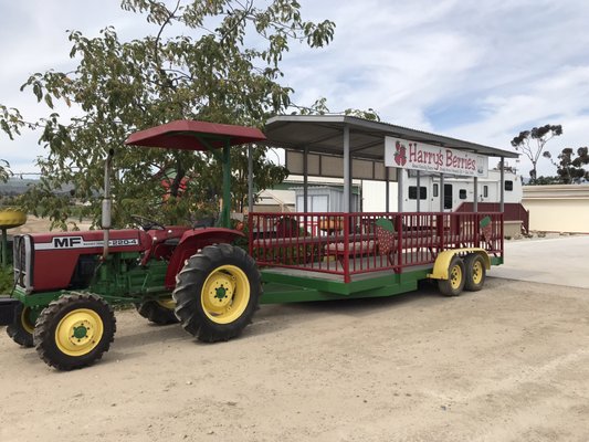 Harry's Berries by null