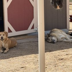 Organ Mountain Ranch