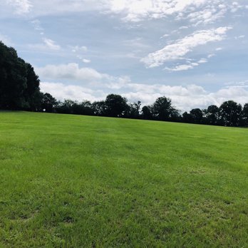 Doggie Do Run Run - Dog Parks Near Me - oxford, Florida