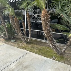 Pair & Marotta Physical Therapy
