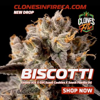 Clones On Fire - Available now! - Cannabis Collective Near Me Clones On Fire - Available now! - Cannabis Collective Near Me