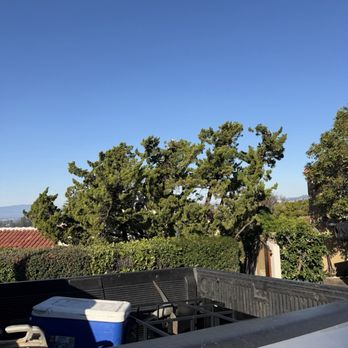 Ramces Tree Services - Topping tree - Tree Services Near Me
