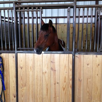 Younger Stables and Arena - 12' x 12' box stalls - boarding option - Horse Boarding Near Me - Azle, Texas Younger Stables and Arena - 12' x 12' box stalls - boarding option - Horse Boarding Near Me - Azle, Texas