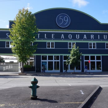 Seattle Aquarium - Aquariums Near Me - Seattle, Washington Seattle Aquarium - Aquariums Near Me - Seattle, Washington
