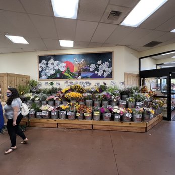Trader Joe's - Grocery Near Me - Pikesville, Maryland Trader Joe's - Grocery Near Me - Pikesville, Maryland