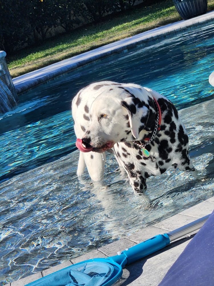 Slide of McGrath Roofing