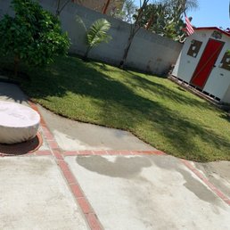 This was all dirt & weeds before Frank's Landscape came in