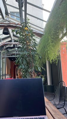 Combo, Milano by null