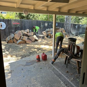 L&J Tree Service - Trees removal - Tree Services Near Me - Central Point, Oregon L&J Tree Service - Trees removal - Tree Services Near Me - Central Point, Oregon