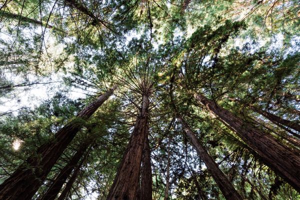 Canyon Ranch Woodside by null Canyon Ranch Woodside by null