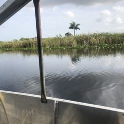 Alligator Tours