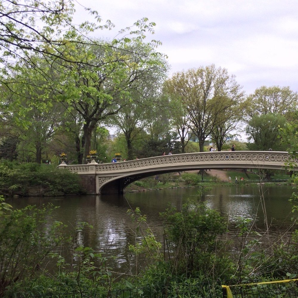 The Lake at Central Park - I can't get enough of this bridge & lake. My personal photo taken previously. Posted with review 02/23/21 - Lakes Near Me - New York, New York The Lake at Central Park - I can't get enough of this bridge & lake. My personal photo taken previously. Posted with review 02/23/21 - Lakes Near Me - New York, New York