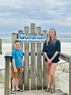 Gulfarium Marine Adventure Park by null