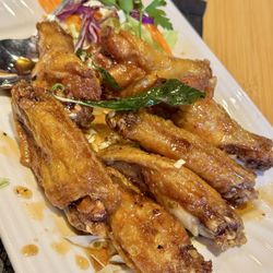 05.25.25 Bencharong Wings