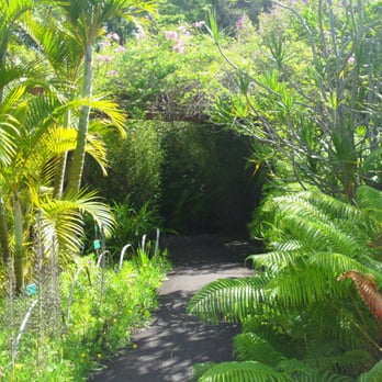 Kula Botanical Gardens - One of many garden arches. - Parks Near Me - Kula, Hawaii Kula Botanical Gardens - One of many garden arches. - Parks Near Me - Kula, Hawaii