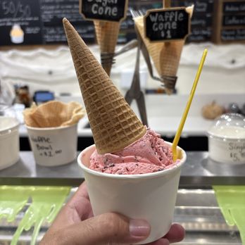 Bloomfield Creamery - Double - Ice Cream & Frozen Yogurt Near Me - Pasadena, California Bloomfield Creamery - Double - Ice Cream & Frozen Yogurt Near Me - Pasadena, California