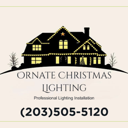 Ornate Christmas Lighting