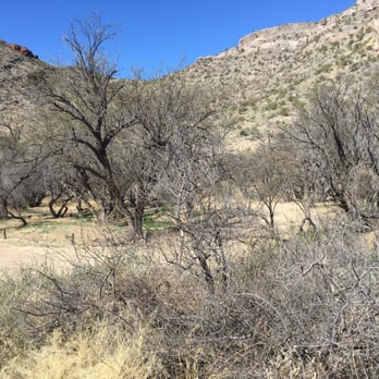 Colossal Cave Mountain Park - A glimpse of the Sevilla camp and picnic grounds - Museums Near Me - Vail, Arizona