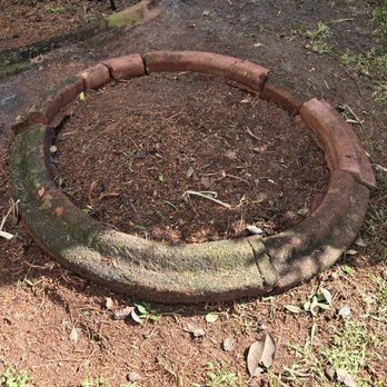 Black stallion tree service - Site following giant palm & stump grinding - Tree Services Near Me