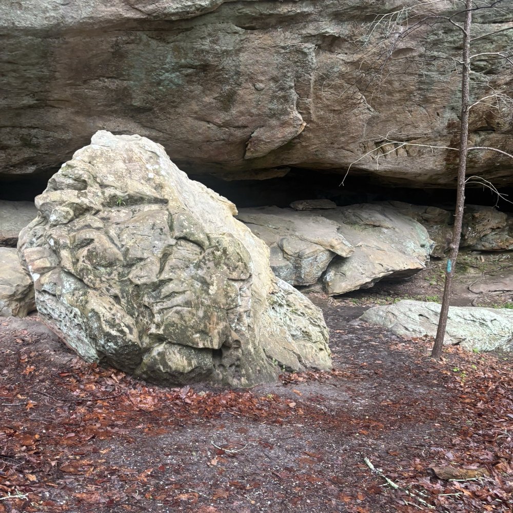 Spacious Skies Campgrounds - Belle Ridge - Campgrounds Near Me - Monterey, Tennessee