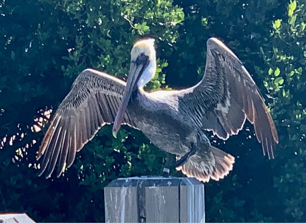 A friend came to see me while I was on the dock Yelp