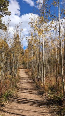 Golden Gate Canyon State Park by null