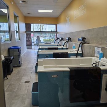 Pet Evolution - State of the art self wash. Best part is, you leave the mess - Pet Groomers Near Me - Tualatin, Oregon