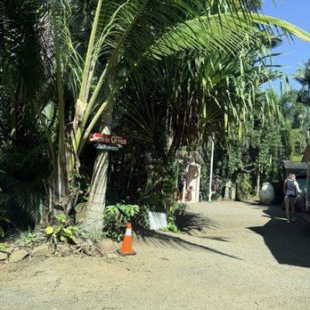 Jungle Zipline Maui - Tours Near Me - Haiku, Hawaii Jungle Zipline Maui - Tours Near Me - Haiku, Hawaii